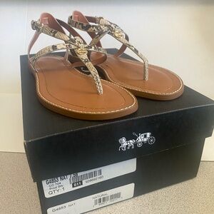 Women Coach Lydia Snake Animal Print Leather Ankle Strap Sandal Shoe Size 7.5 38